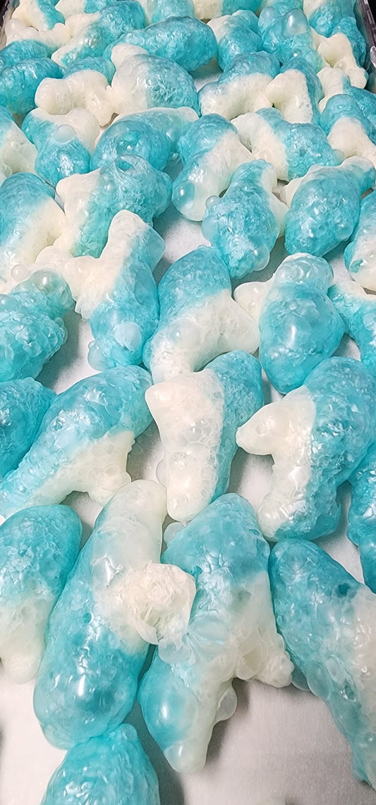 Freeze Dried Gummy Sharks